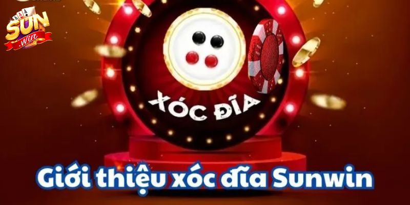 Tìm hiểu tổng quan về xóc đĩa SUNWIN